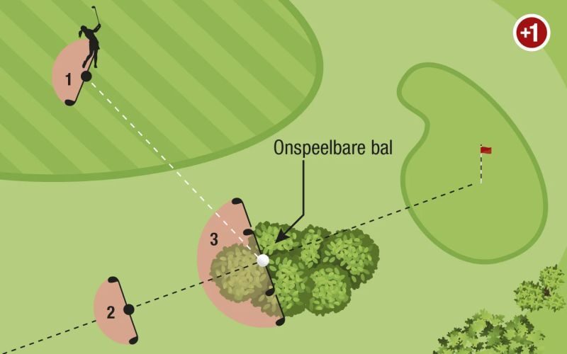 Regel en Handicap bericht