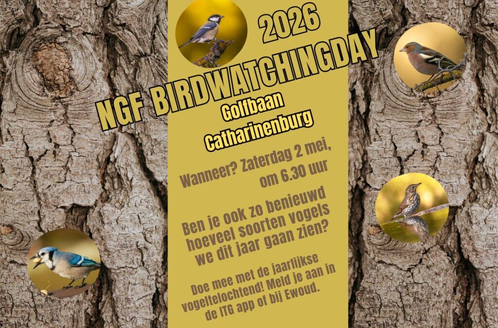 NGF Birdwatchingday