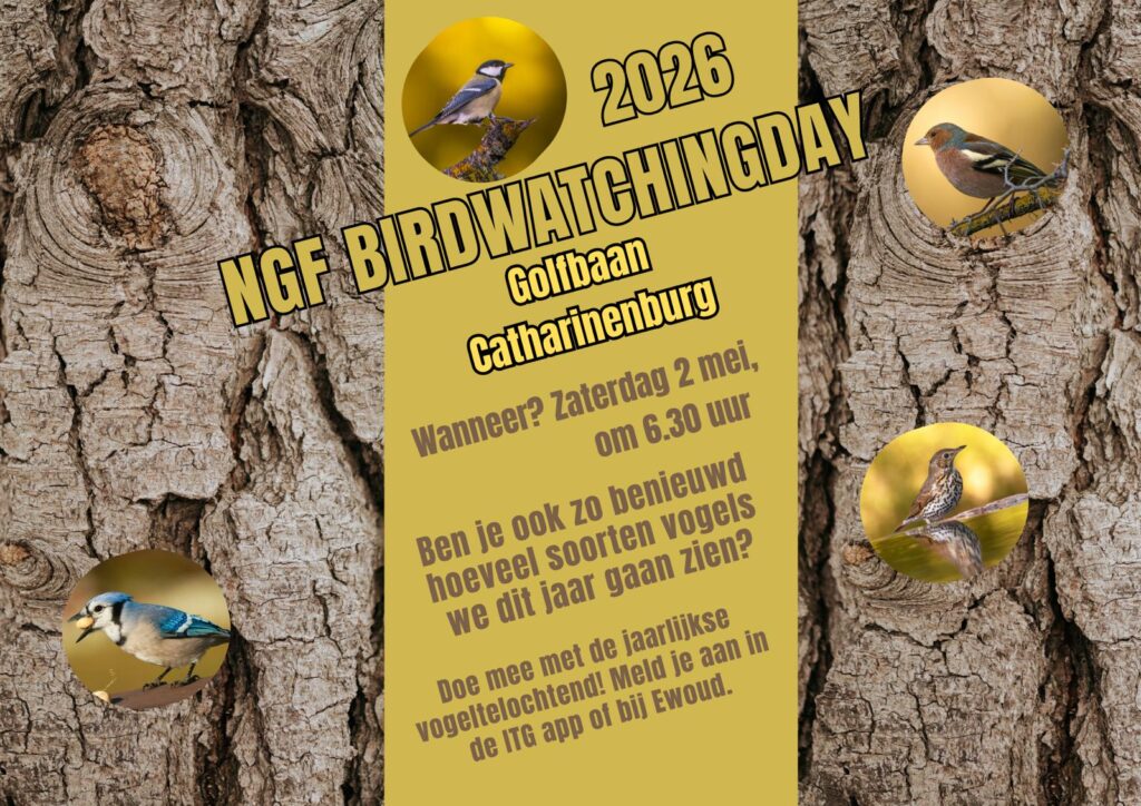 NGF Birdwatchingday